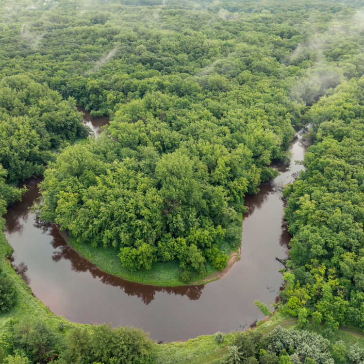 Aerial view: river loops through misty, dense green forest.
